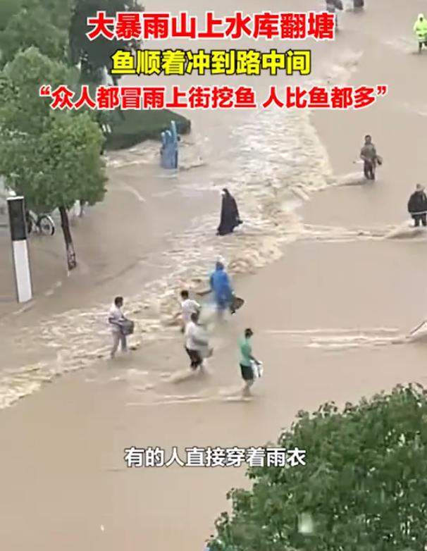 丹江口暴雨 民众在路面捞鱼 人比鱼多 网友：湖北人心态真好！